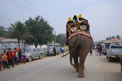 象のパレード