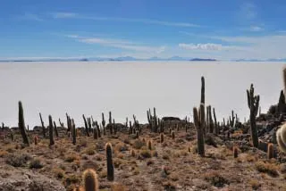 塩湖の風景