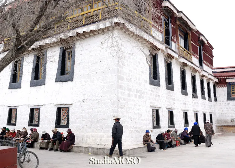 チベット語教師たち