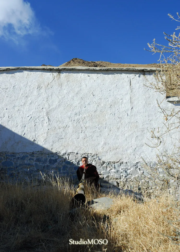 チベタンホルン