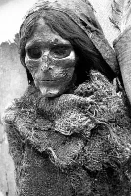 ウルムチ博物館