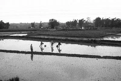 ハノイへの列車