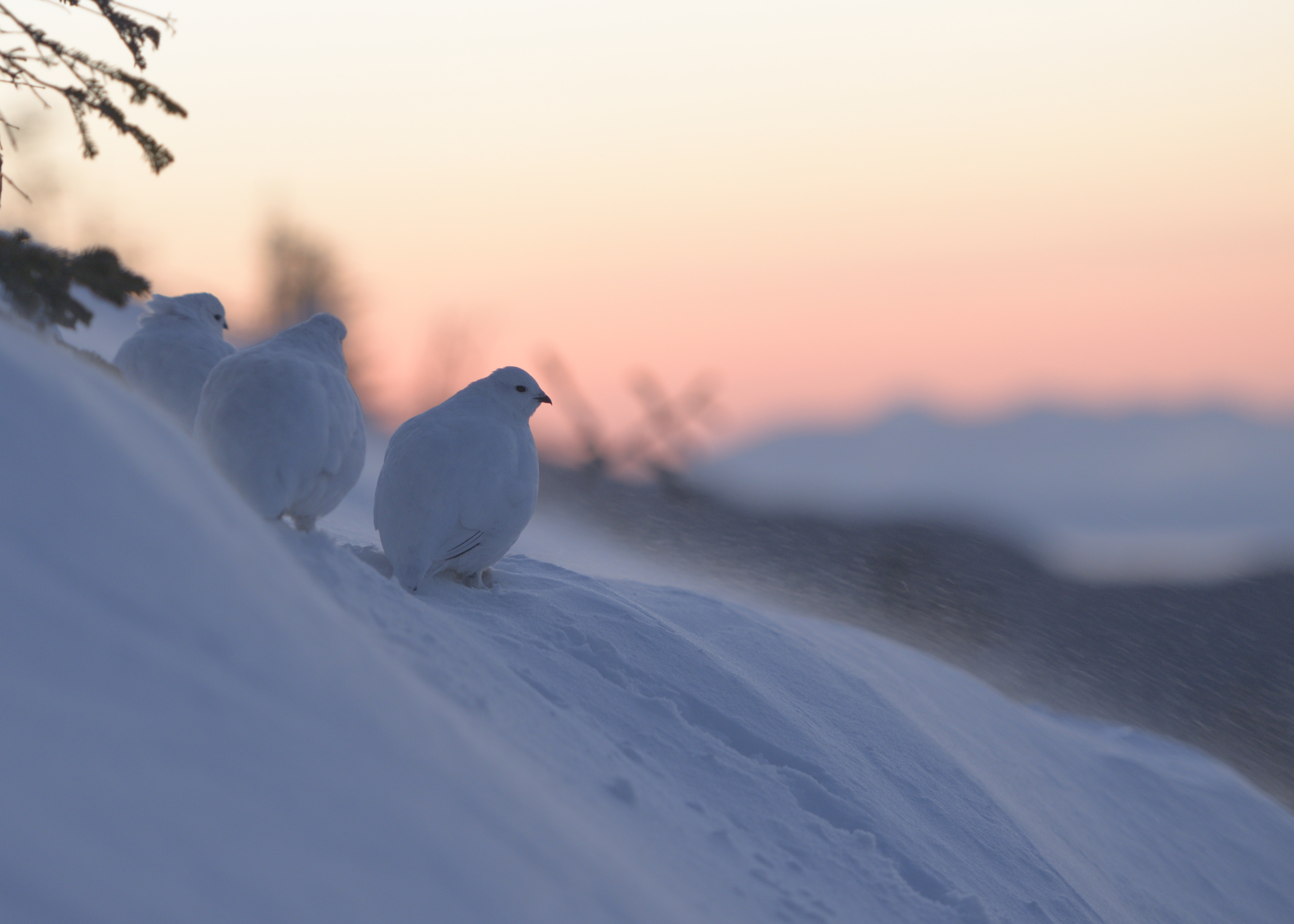 北アルプス大自然の風景